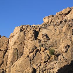 IMG_6428.JPG